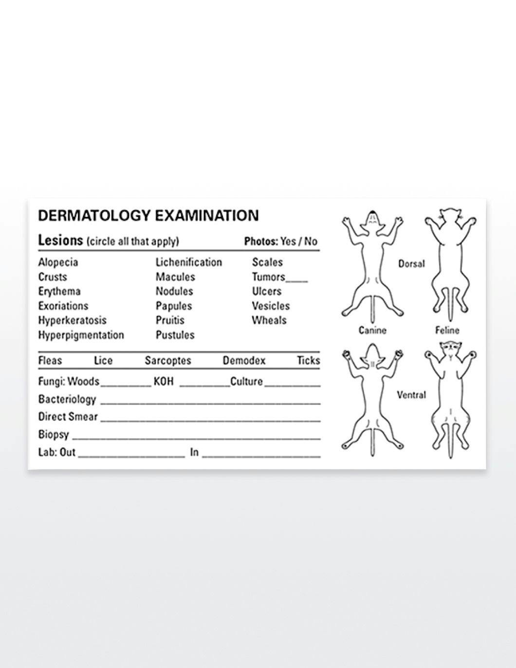 medical-record-labels-dermatology-examination
