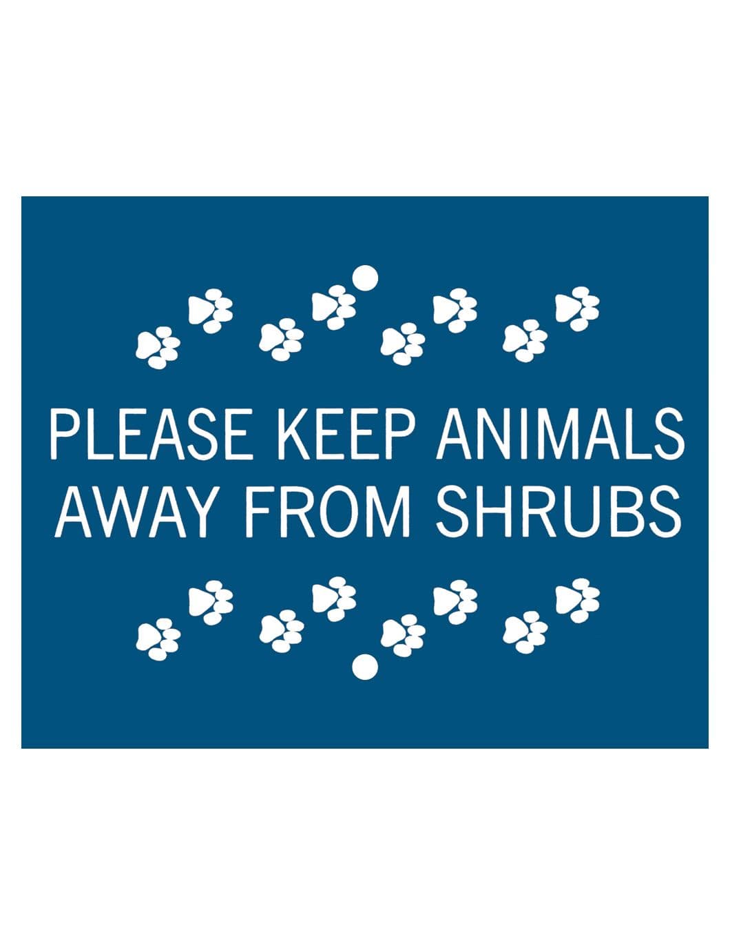 single-plate-with-paws-azure