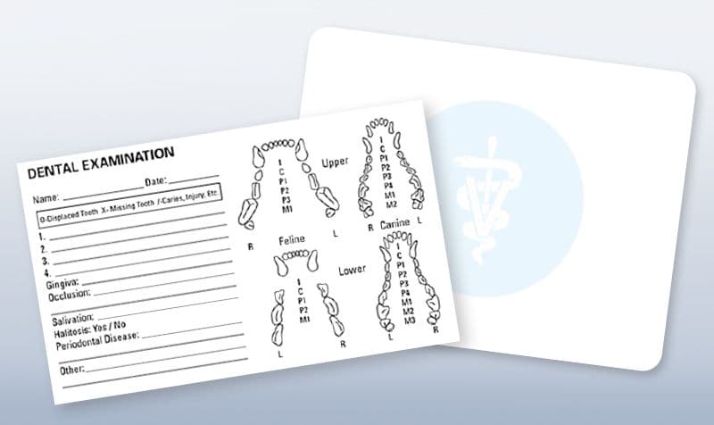 Veterinary Apparel Company Rx Accessories