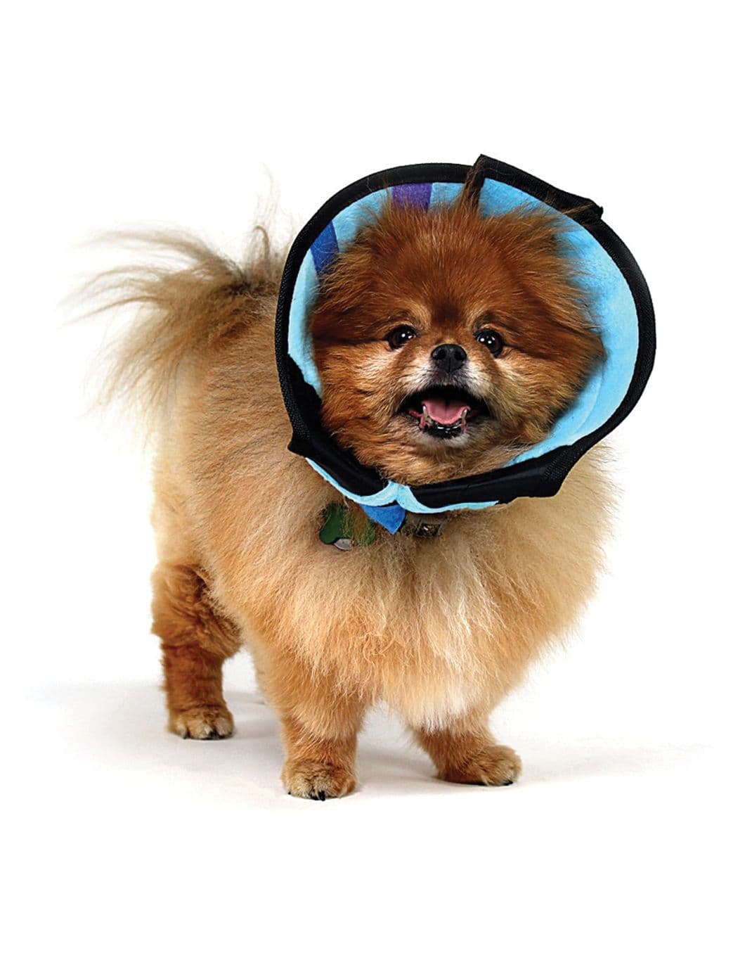calmer-protective-collar