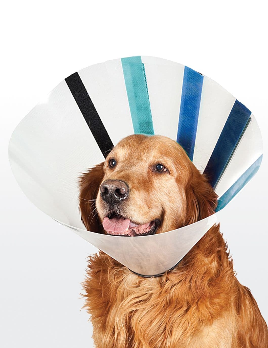 ez-clear-protective-collar