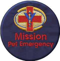 image 11 (4).png
