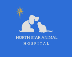 image 11 (5).png