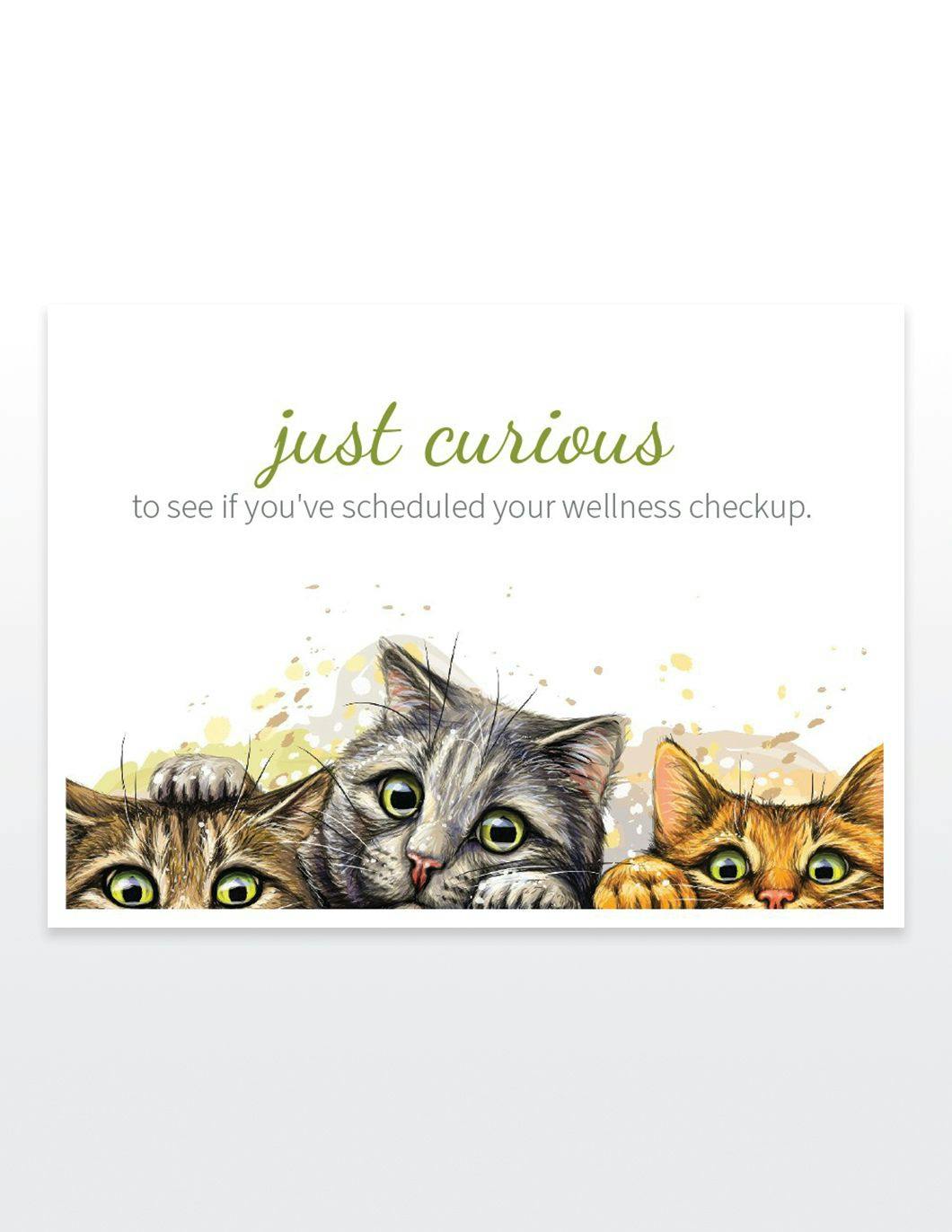 just-curious-postcards