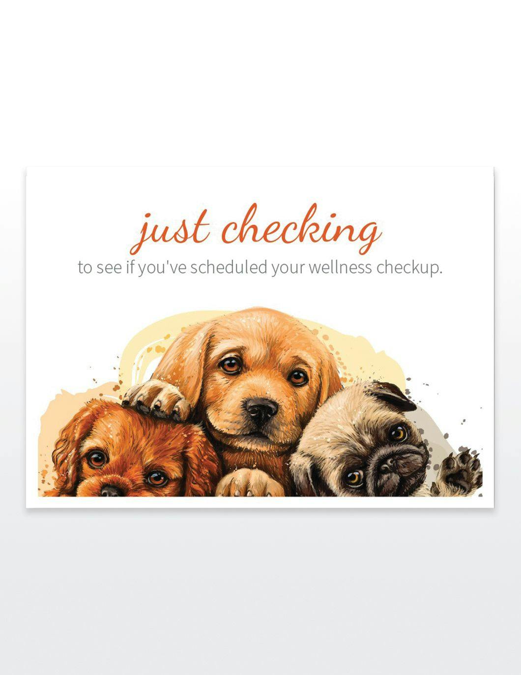 just-checking-postcards