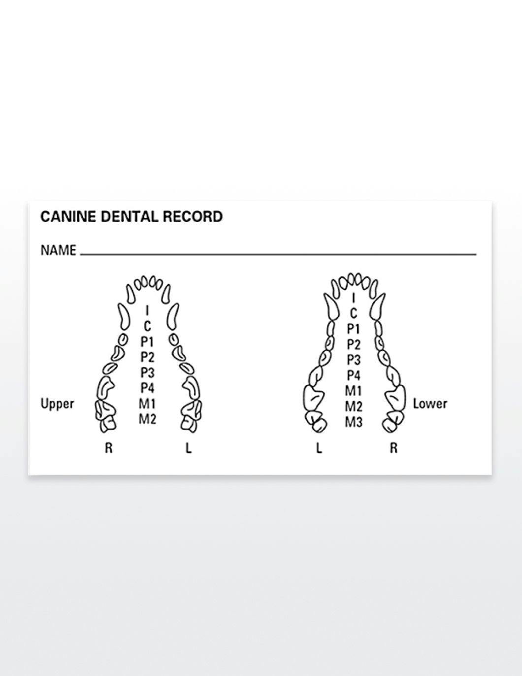 medical-record-labels-canine-dental-record