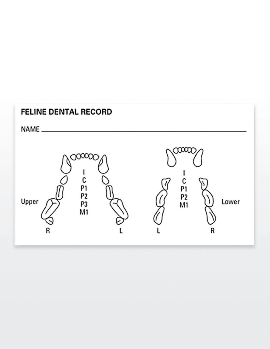 medical-record-labels-feline-dental-record