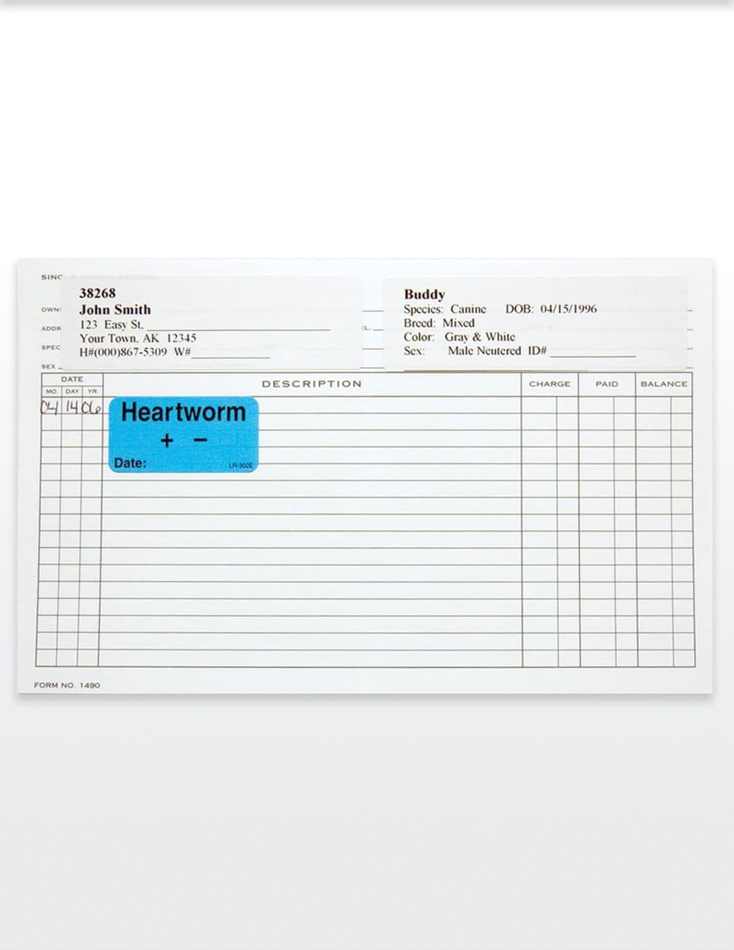 Medical File Sticker Letters BOARDING Medical Record Stickers