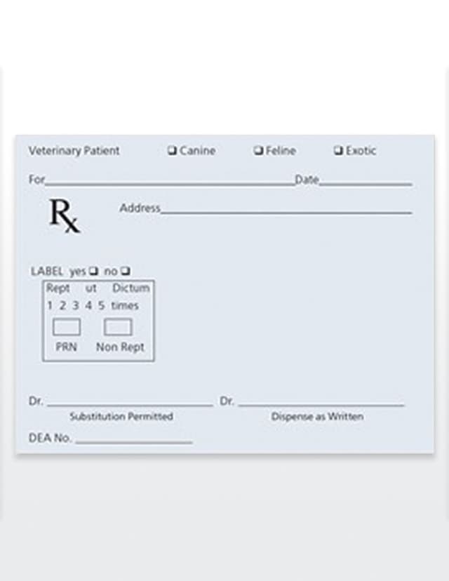 Stock Prescription Pads- Qty 100