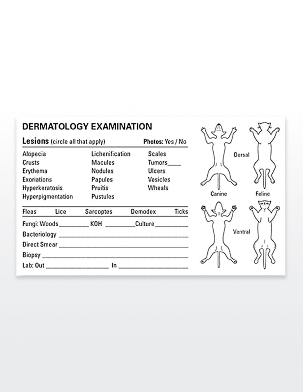 Medical Record Labels Qty 150 DERMATOLOGY EXAMINATION